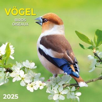Tushita Calendario Aves 2025