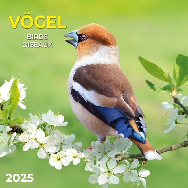 Vögel Kalender 2025