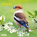 Tushita Birds Calendar 2025