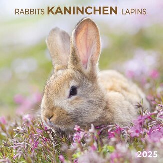 Tushita Kaninchen Kalender 2025