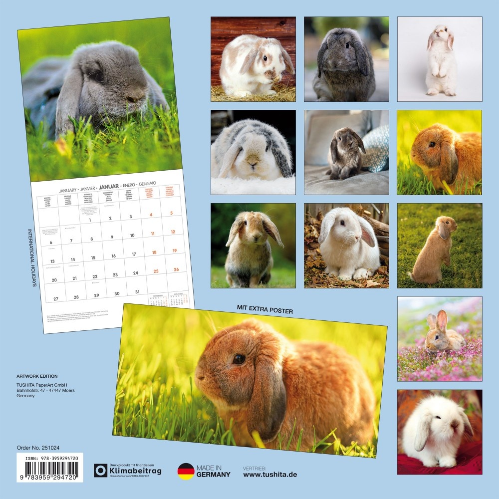 Buy Rabbits Calendar 2025? Order online quickly and easily