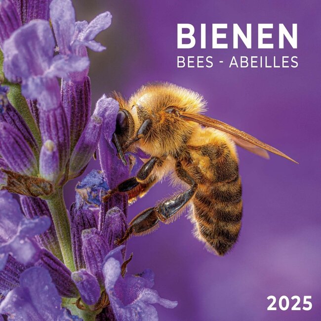 Abeilles - Calendrier des abeilles 2025