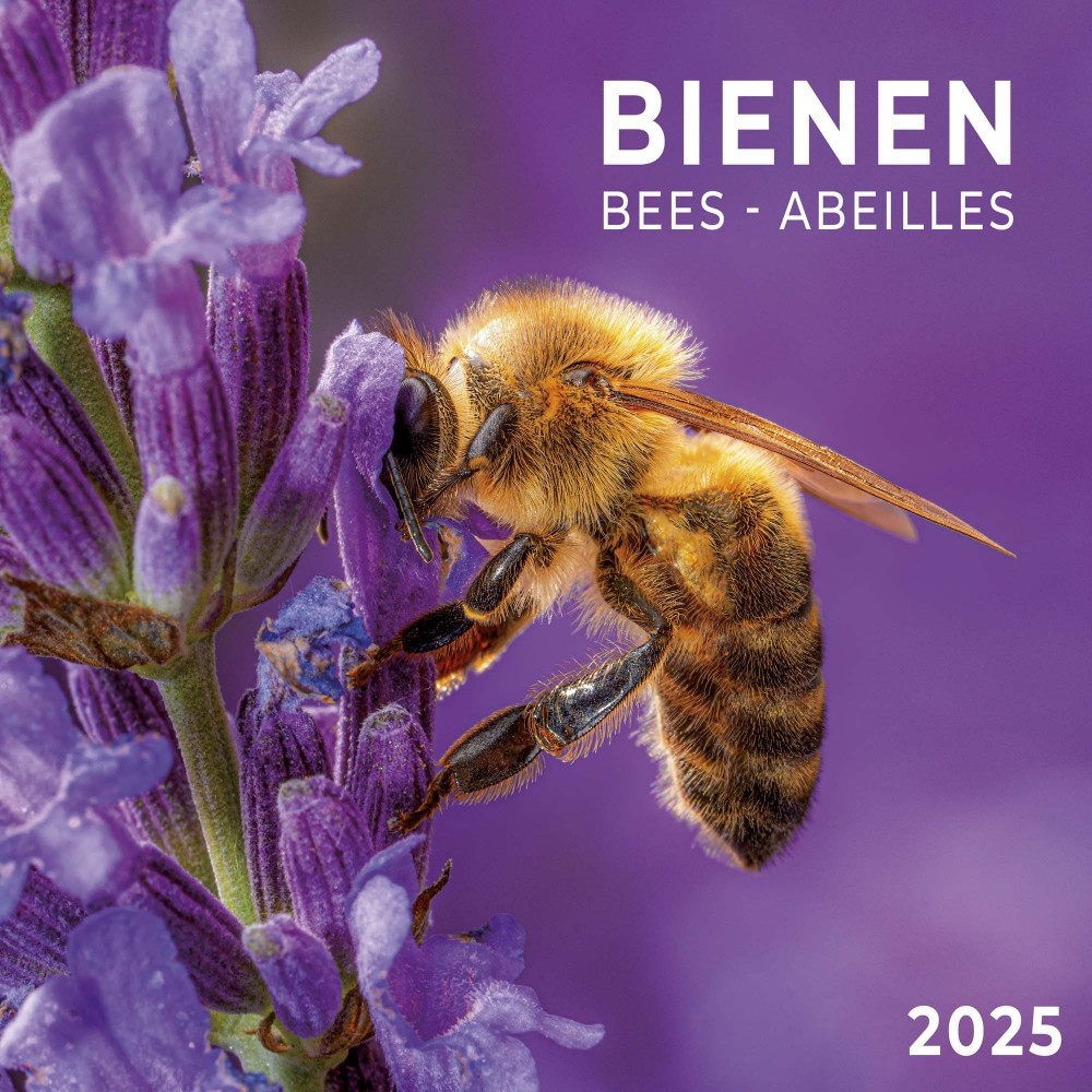 Bees - Bijen Kalender 2025