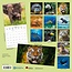 Wildlife Kalender 2025