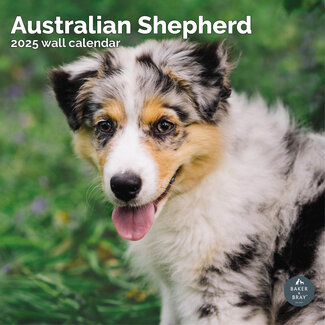 Baker & Bray Australian Shepherd Calendar 2025