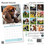 Basset Hound Calendar 2025