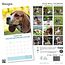 Calendrier Beagle 2025