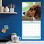 Calendrier Beagle 2025