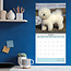 Calendario Bichon Frise 2025