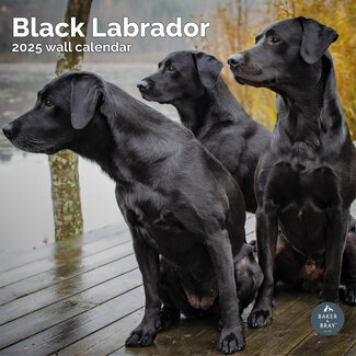 Baker & Bray Calendario nero del Labrador Retriever 2025