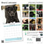 Labrador Retriever Negro Calendario 2025