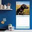 Labrador Retriever Negro Calendario 2025