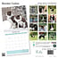 Border Collie Kalender 2025