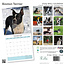 Boston Terrier Calendar 2025