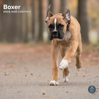 Baker & Bray Calendrier Boxer 2025