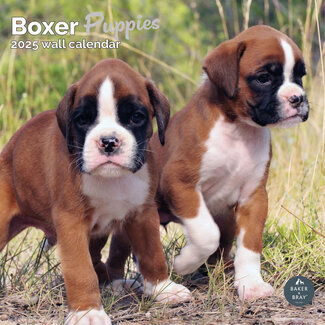 Baker & Bray Boxer Puppies Calendar 2025