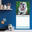 Englische Bulldogge Kalender 2025