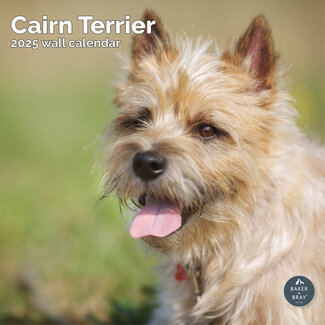 Baker & Bray Calendrier Cairn Terrier 2025