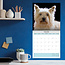 Cairn Terrier Calendar 2025