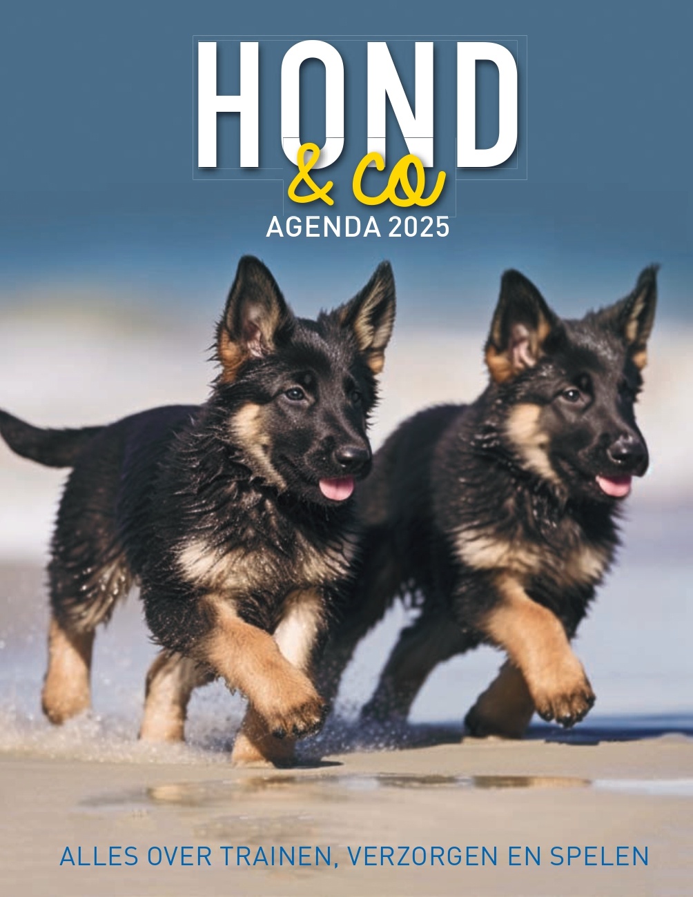 Hond & Co Agenda 2025