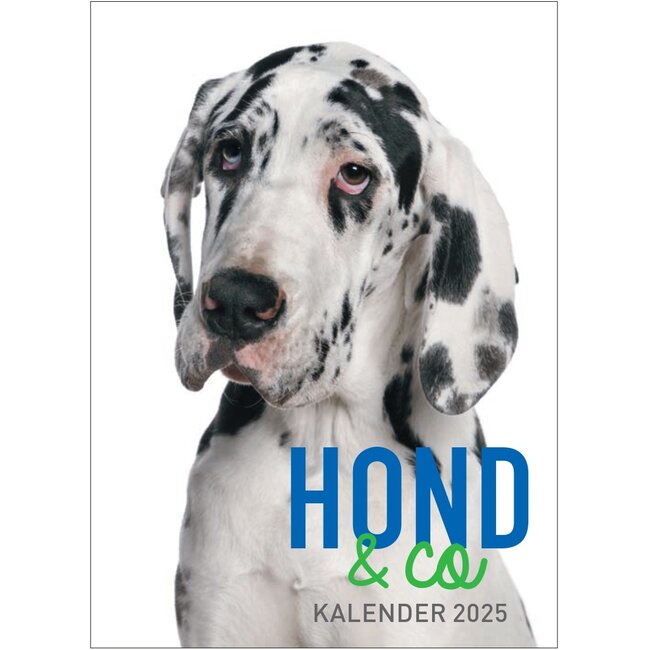 Hond & Co Scheurkalender 2025