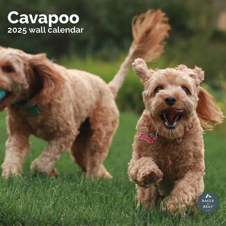 Baker & Bray Calendrier Cavapoo 2025