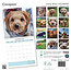 Calendario Cavapoo 2025