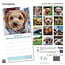 Calendrier Cavapoo 2025