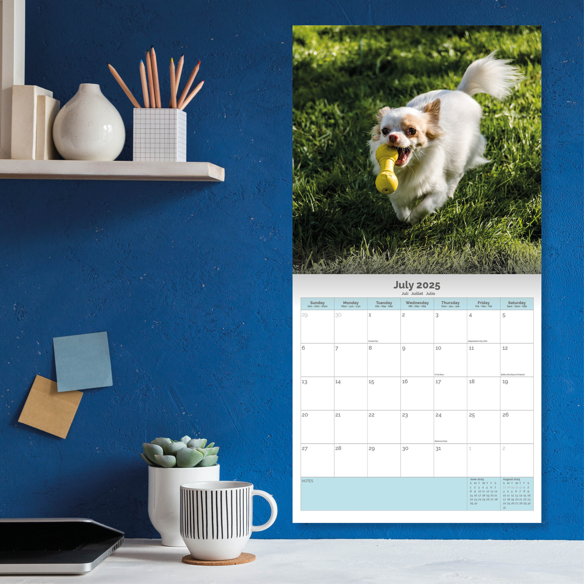 Buy Chihuahua Calendar 2025? Order easily and quickly online