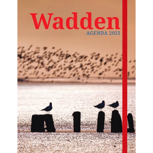 Edicola Agenda 2025 pour les Wadden