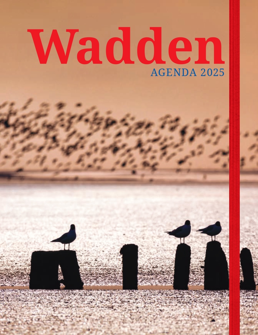 Wadden Agenda 2025