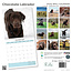 Labrador Retriever Braun Kalender 2025