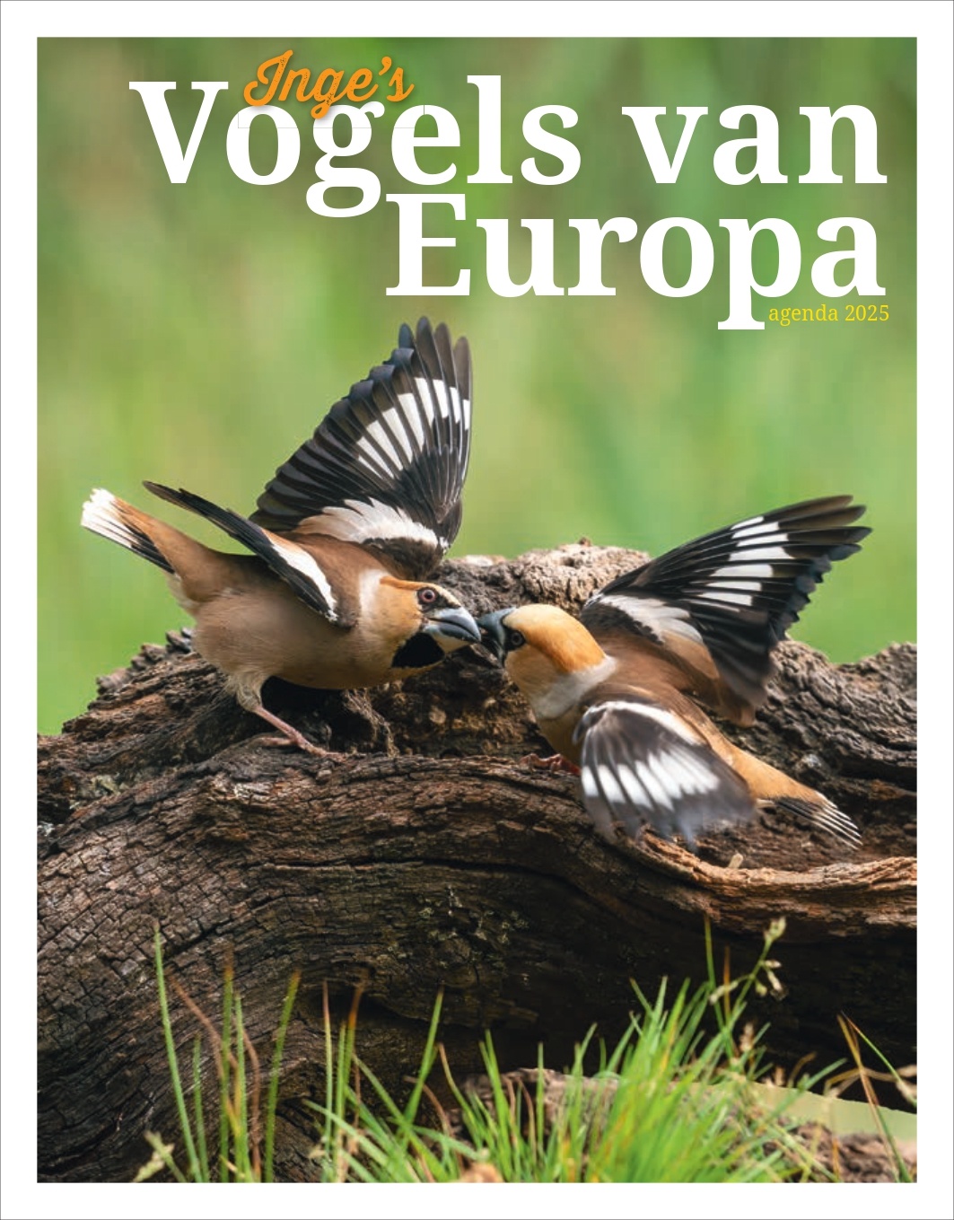 Inge s Vogels van Europa Agenda 2025