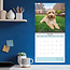 Calendrier Cockapoo 2025