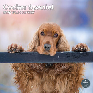 Baker & Bray English Cocker Spaniel Calendar 2025