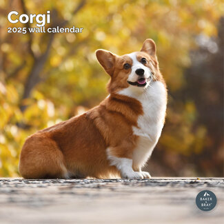 Baker & Bray Calendario Corgi Galés 2025