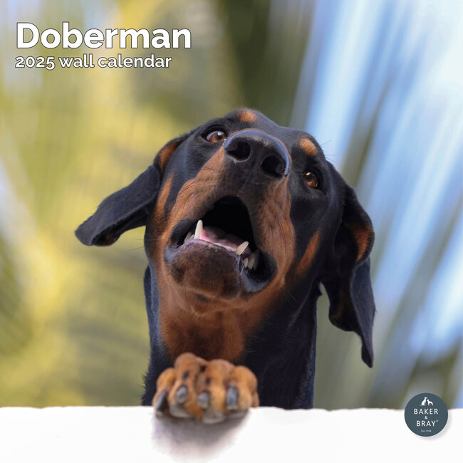 Calendario Dobermann 2025