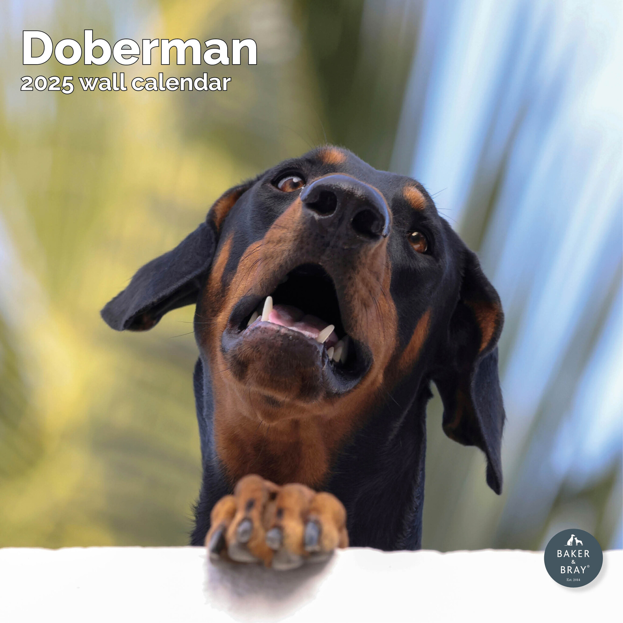 Dobermann Kalender 2025