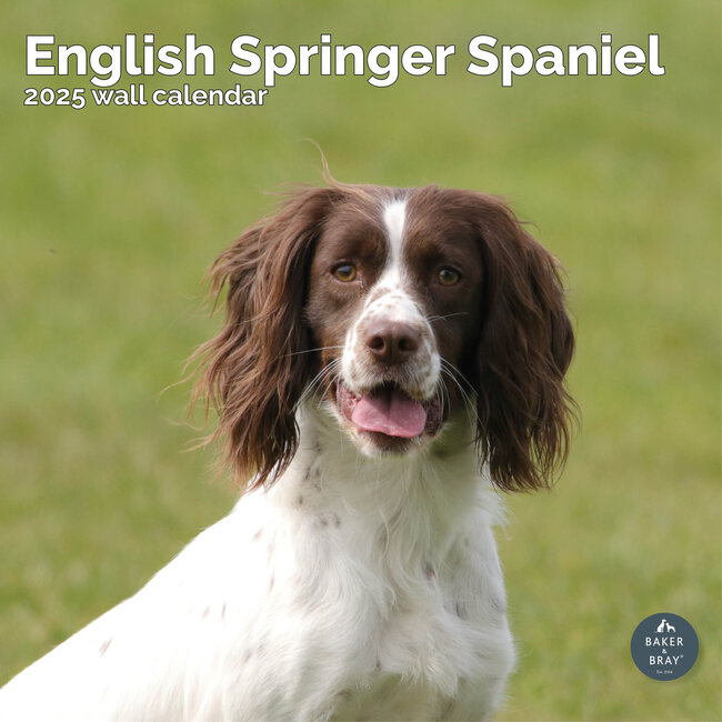 English Springer Spaniel Calendar 2025