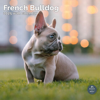 Baker & Bray Franse Bulldog Kalender 2025
