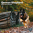 German Shepherd Calendar 2025