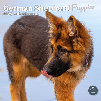 Baker & Bray Calendario de cachorros de pastor alemán 2025