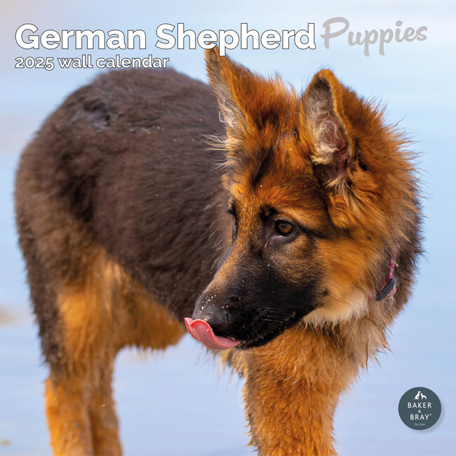Calendario dei cuccioli di pastore tedesco 2025