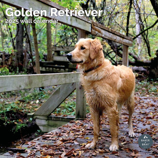 Baker & Bray Calendario Golden Retriever 2025