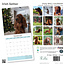 Irish Setter Kalender 2025