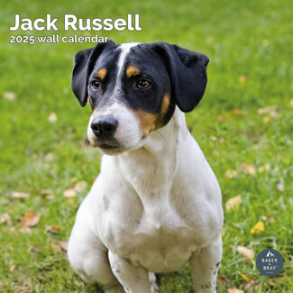 Baker & Bray Jack Russell Terrier Calendar 2025