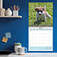 Jack Russell Terrier Kalender 2025