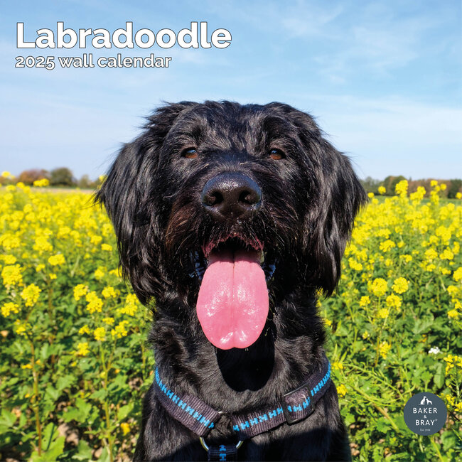 Calendario Labradoodle 2025