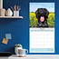 Calendrier Labradoodle 2025