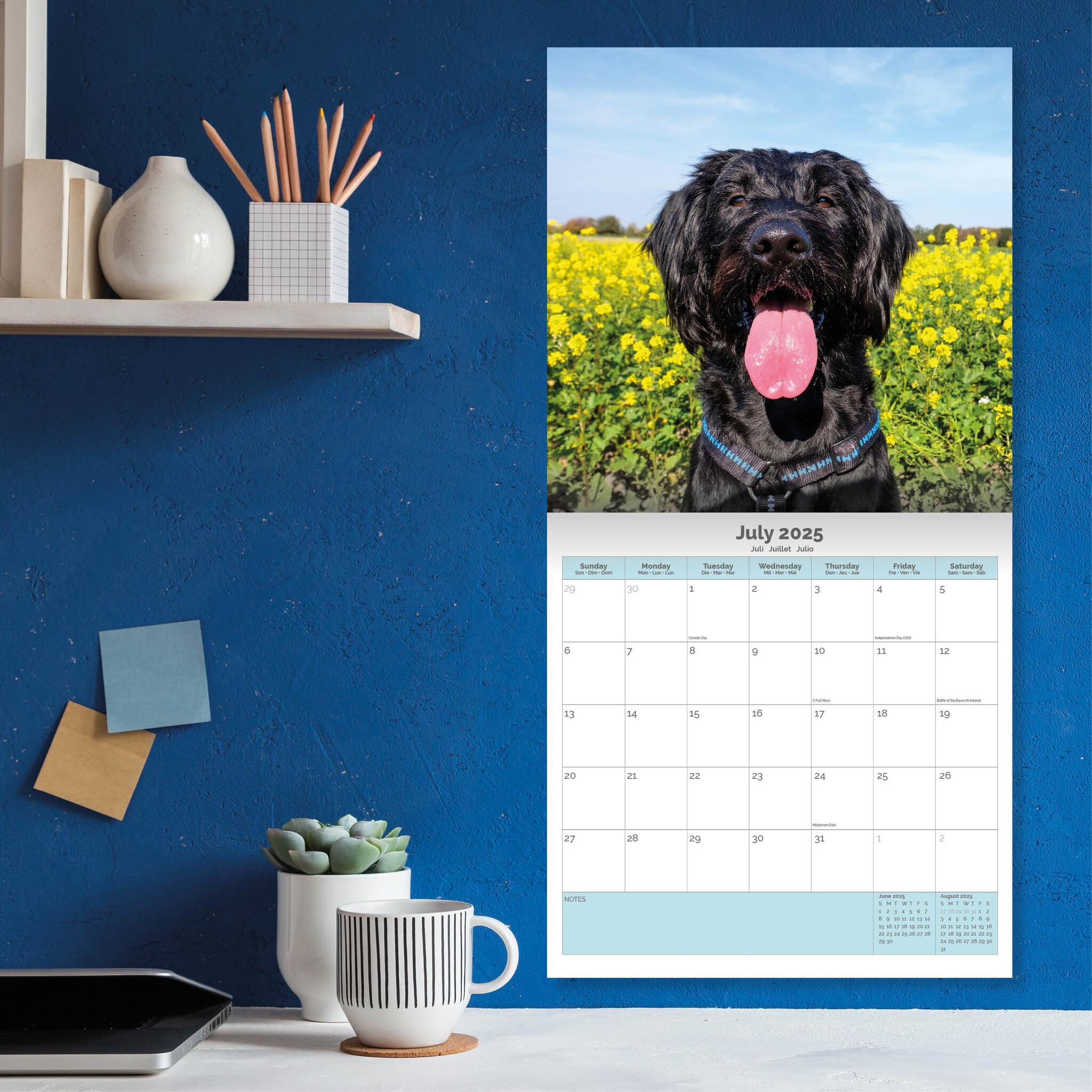 Buy Labradoodle Calendar 2025 Order easily online Kalenderwinkel.nl